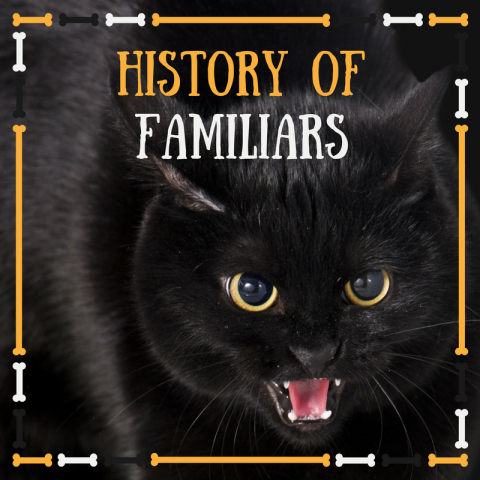 The History of Familiars