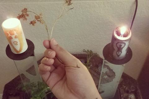 Sturgeon Moon Celebration