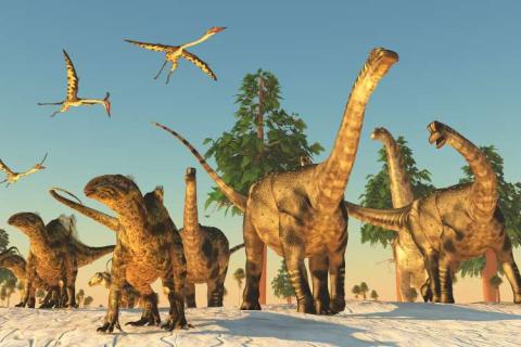 Dinosaur Days