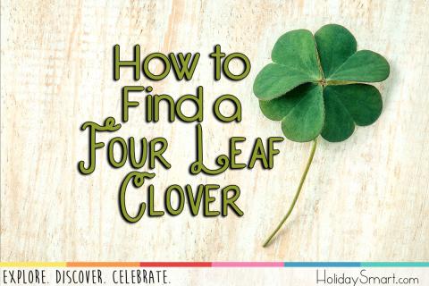 What Are Your Chances of Finding a Four-Leaf Clover?