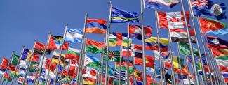 United Nations Flags