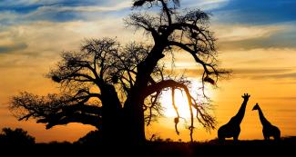 Botswana