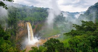 Cameroon