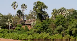 Gambia