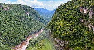 Guyana