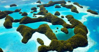 Palau