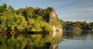 Papua New Guinea