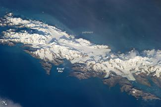 South Georgia & S. Sandwich Islands Holidays
