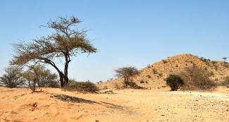 Somalia