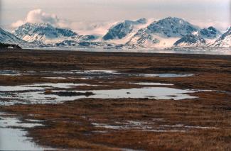 Svalbard and Jan Mayen Islands