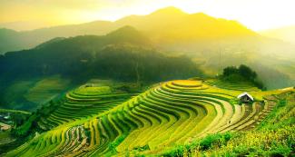 Vietnam
