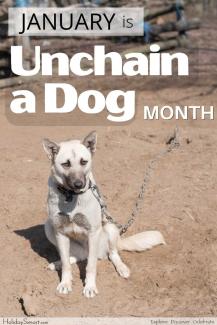 Unchain a Dog Month