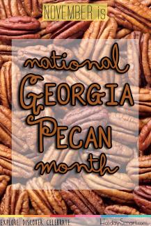 November is National Georgia Pecan Month