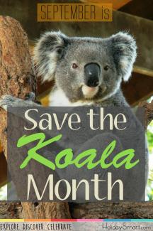 September is Save the Koala Month!