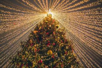 Modern Christmas Day Traditions with a Twist of Magic