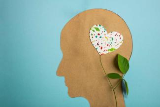 Mental Wellbeing