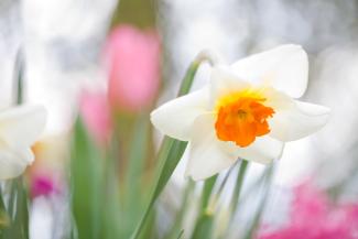 Skin care tips on April 10