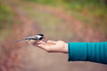 Practice Kindness Month