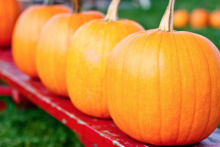 Iceland Halloween