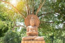 Magha Puja Day