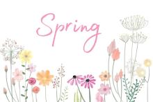 Srping Season