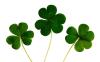 St Patricks Day in the U.S.