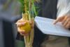 First day of Sukkot