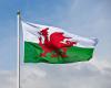 St. David’s Day