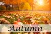 First Day of Fall (September Equinox)