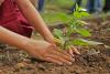 State Arbor Day - Alabama
