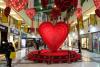 Valentine's Day in Delhi India