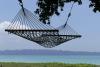 Hammock Day