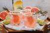 World Paloma Day