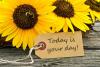 Make Up Your Own Holiday Day