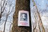Missing Mutts Awareness Day