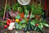 Ag Day, Celebrating Our Bountiful Food Supply