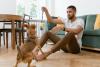 Don't Walk Your Dog Day