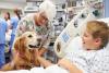 Dog Therapy Appreciation Day
