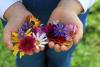 Bring Flowers to Someone Day