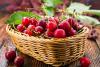 Cherry Day
