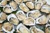 Oyster Day