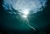 Sea Serpent Day
