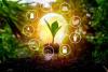 Energy Multiplier Day