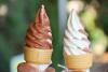 Soft Ice Cream Day