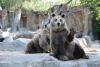 Zoo Awareness Day