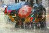 Neither Snow Nor Rain Day