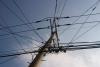 Telegraph Pole Appreciation Day
