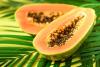 Pawpaw Day