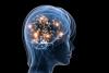 Train Your Brain Day
