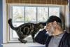Pets for Veterans Day